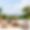 Villa White Finca