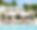 Villa White Finca