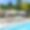 Villa White Finca