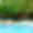 Villa White Finca