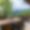 Chalet Altius
