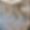 Chalet Alpage