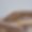 Chalet Alpage