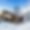 Chalet Bel Everest
