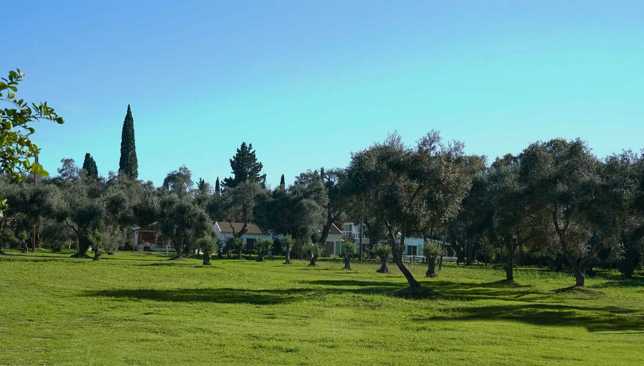 Villa Yara