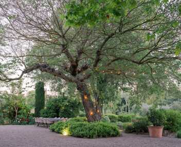 Domaine de Provence