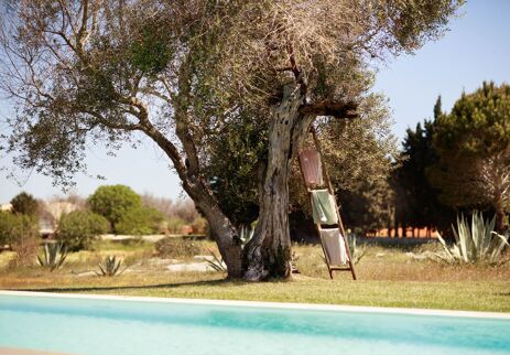 Masseria Bonaccia