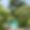 Villa des Colverts