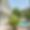 Villa des Colverts