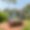 Villa des Colverts