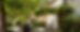 Domaine des Constellations
