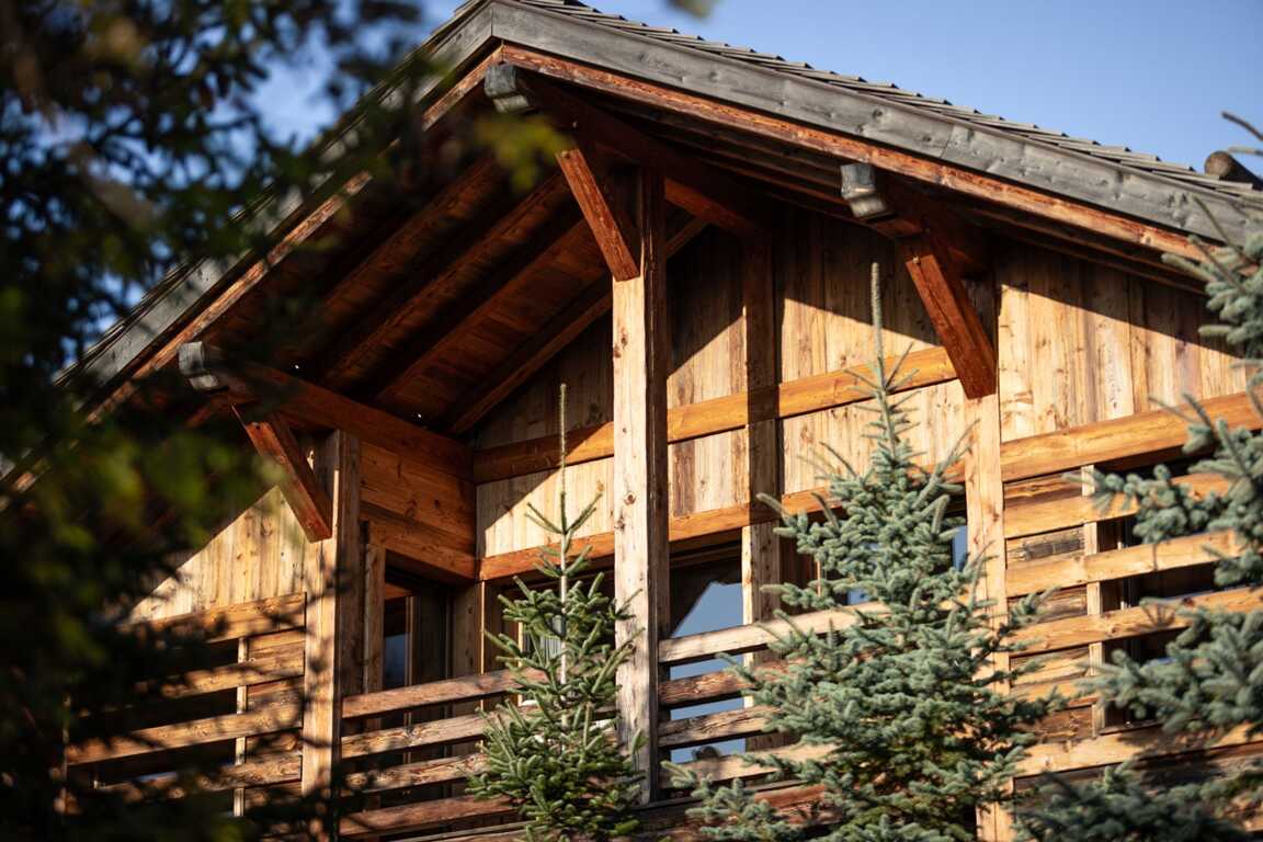 Chalet Cosmos