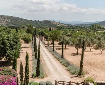 Villa Alaro