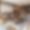 Appartement Sirius 303