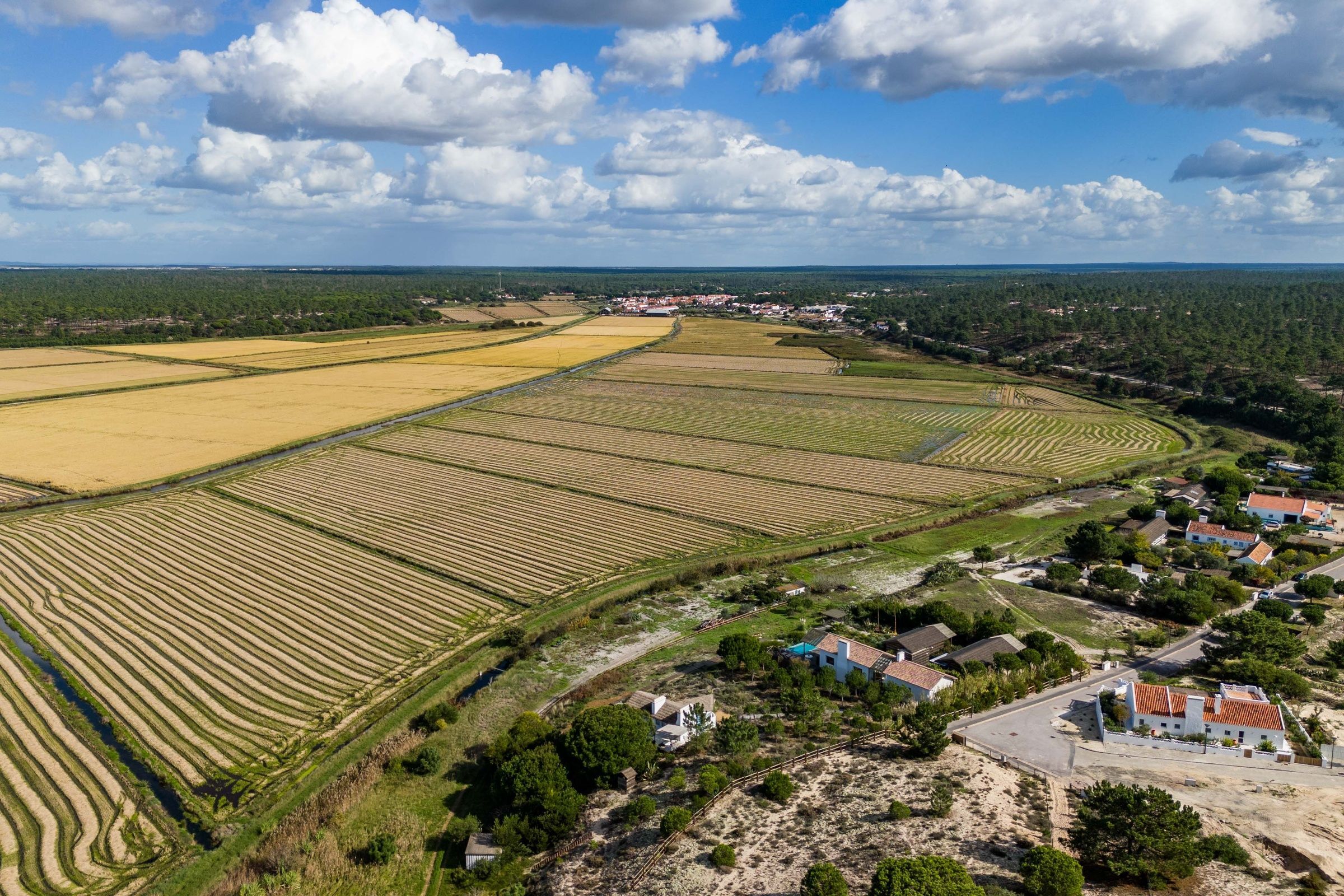 Villa Majoris & Casa Azul