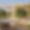Masseria Ozen