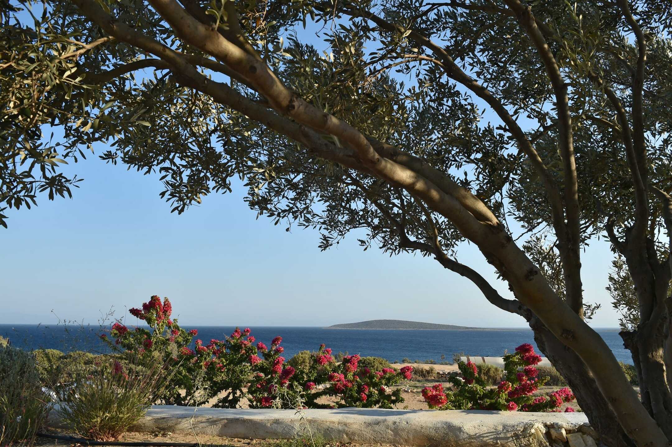 Villa Clea