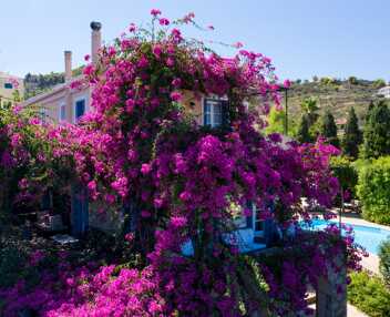 Villa Lauren