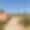 Zaira Estate
