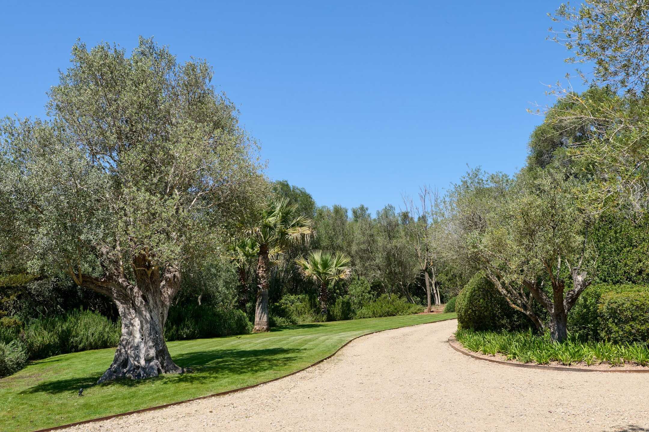 Villa del Campo