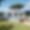 Villa Eucalypto
