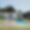 Villa Eucalypto