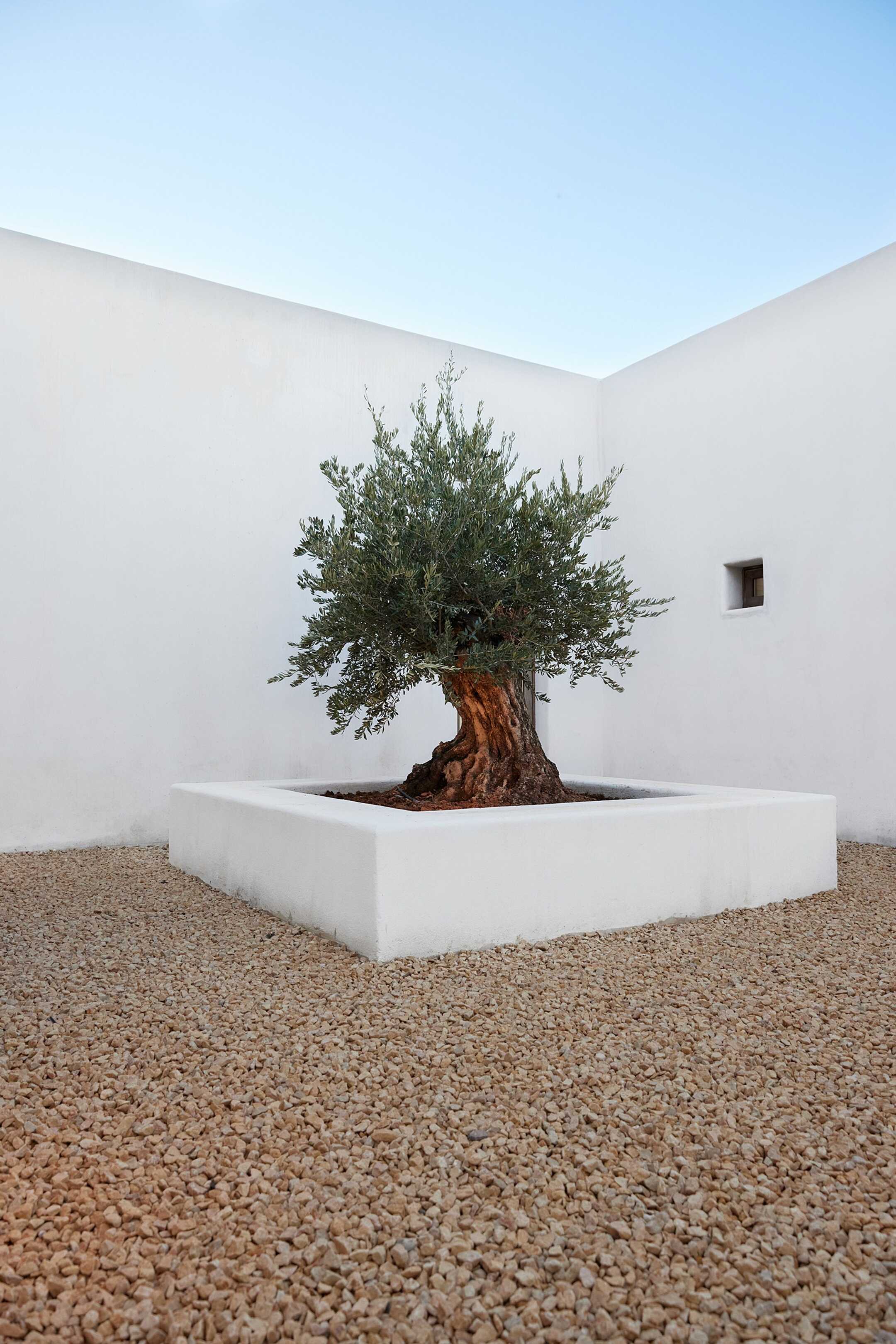 Casa Monsaraz