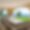 Domaine des Cistes