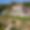 Domaine des Cistes