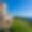 Domaine des Cistes