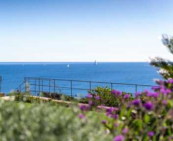 Domaine des Cistes