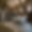 Chalet Grand Bois