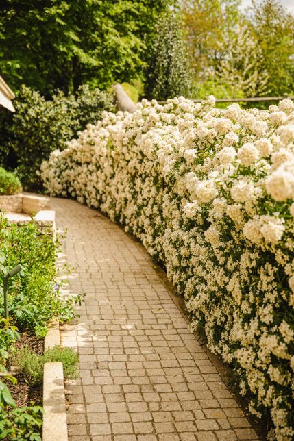 Pressoir des Capucines