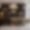 Appartement Malesherbes