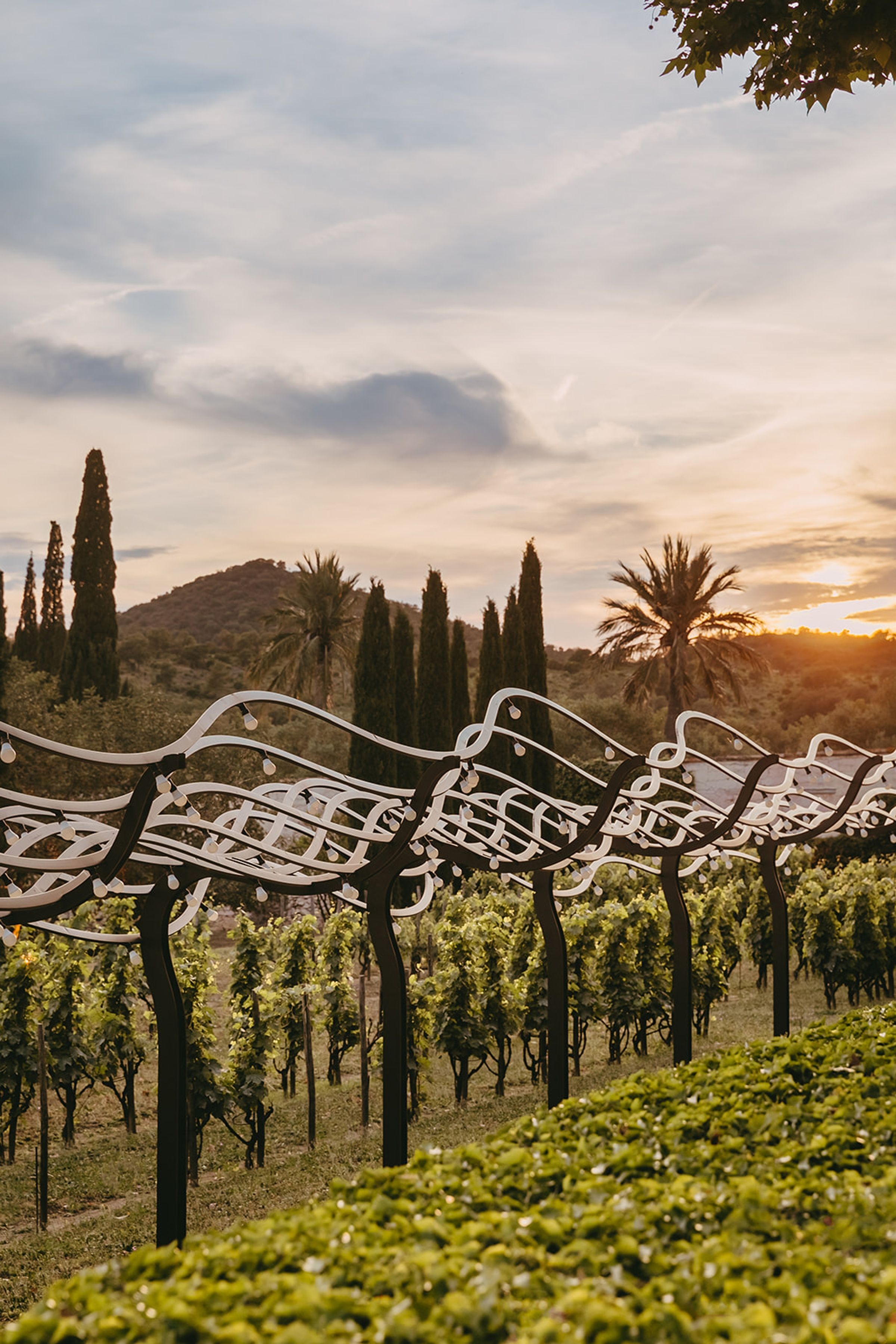 Domaine de Pellegrin