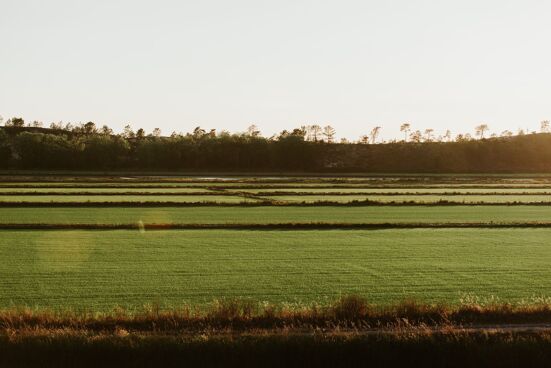 Villa Harmonia da Comporta