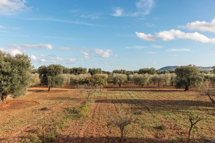 Dimora Occhio