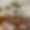 Appartement Lutetia