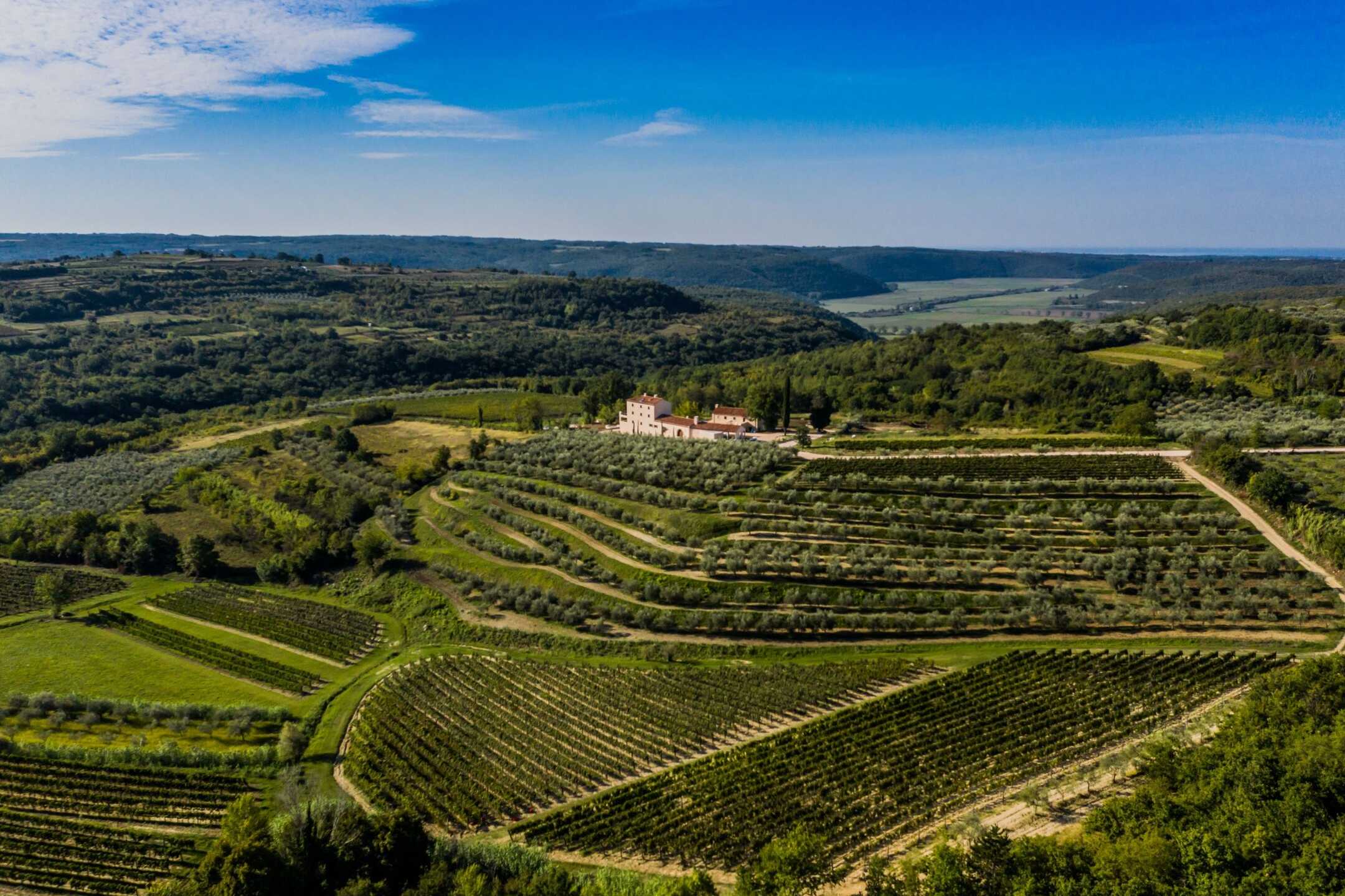 Loza Estate