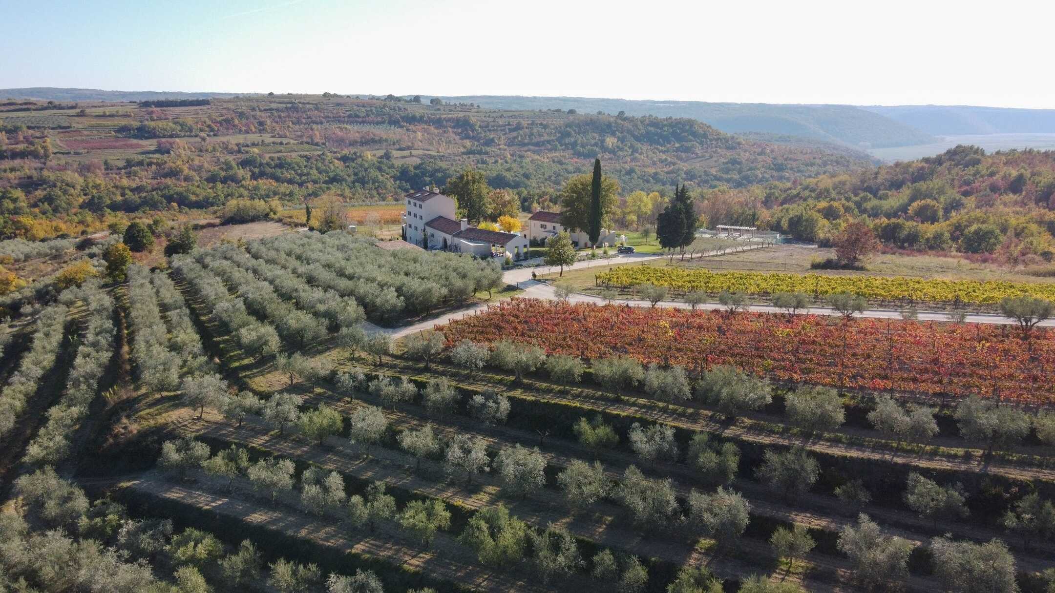 Loza Estate