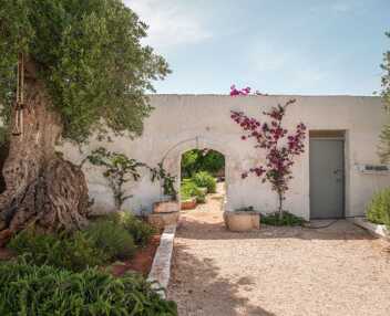 Masseria Riflesso