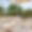 Masseria Riflesso