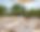 Masseria Riflesso