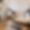 Appartement Livia