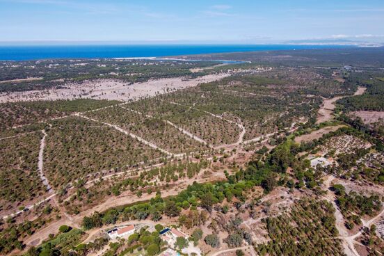 Casa Mannaz & Casa Ansuz