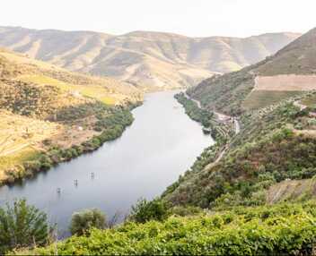 Casa do Douro