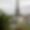 Rooftop Eiffel
