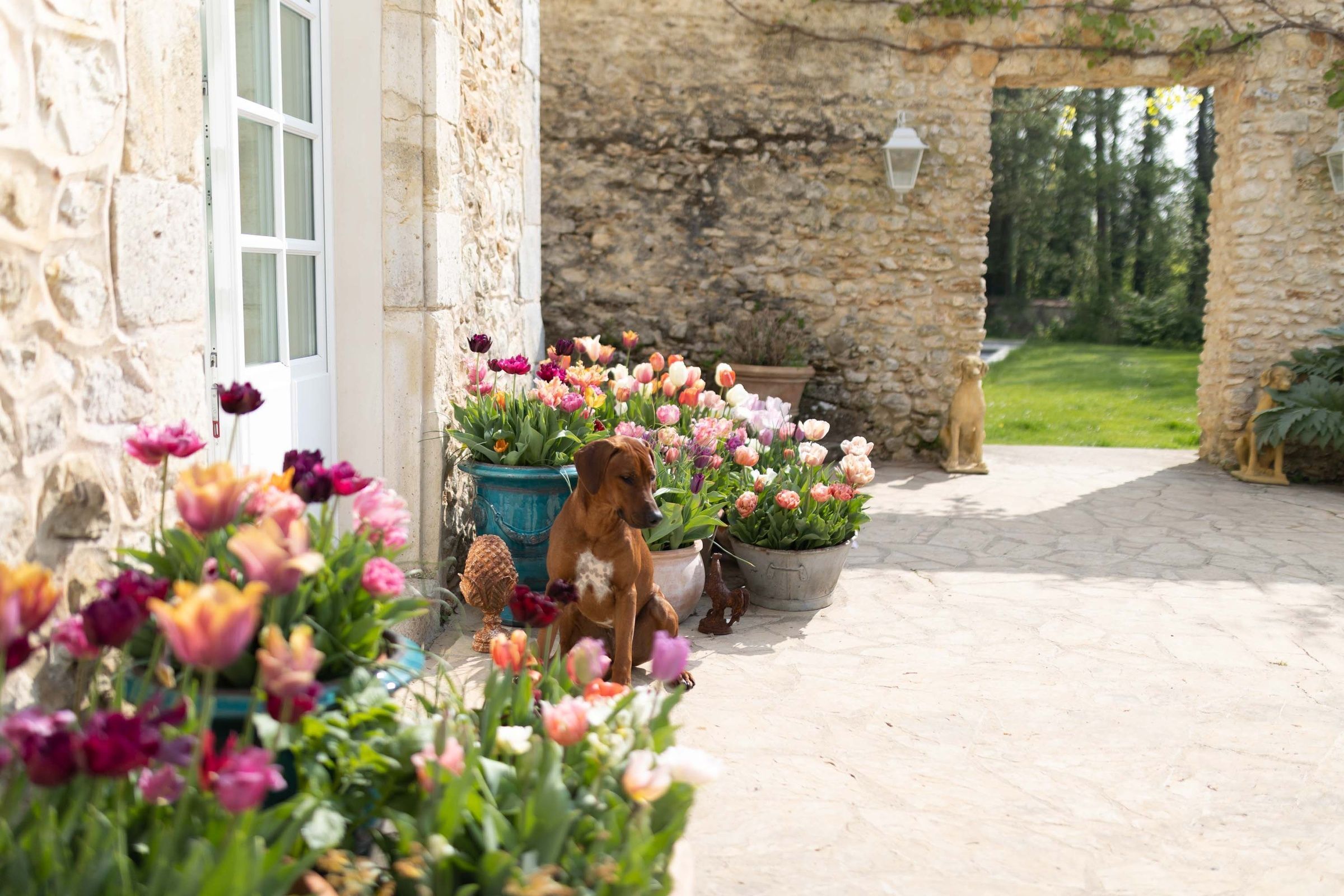 Villa de l'Orangerie