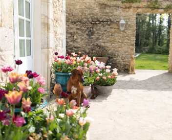 Villa de l'Orangerie