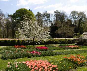 Villa de l'Orangerie